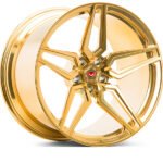 m x1 c16 imperial gold 2